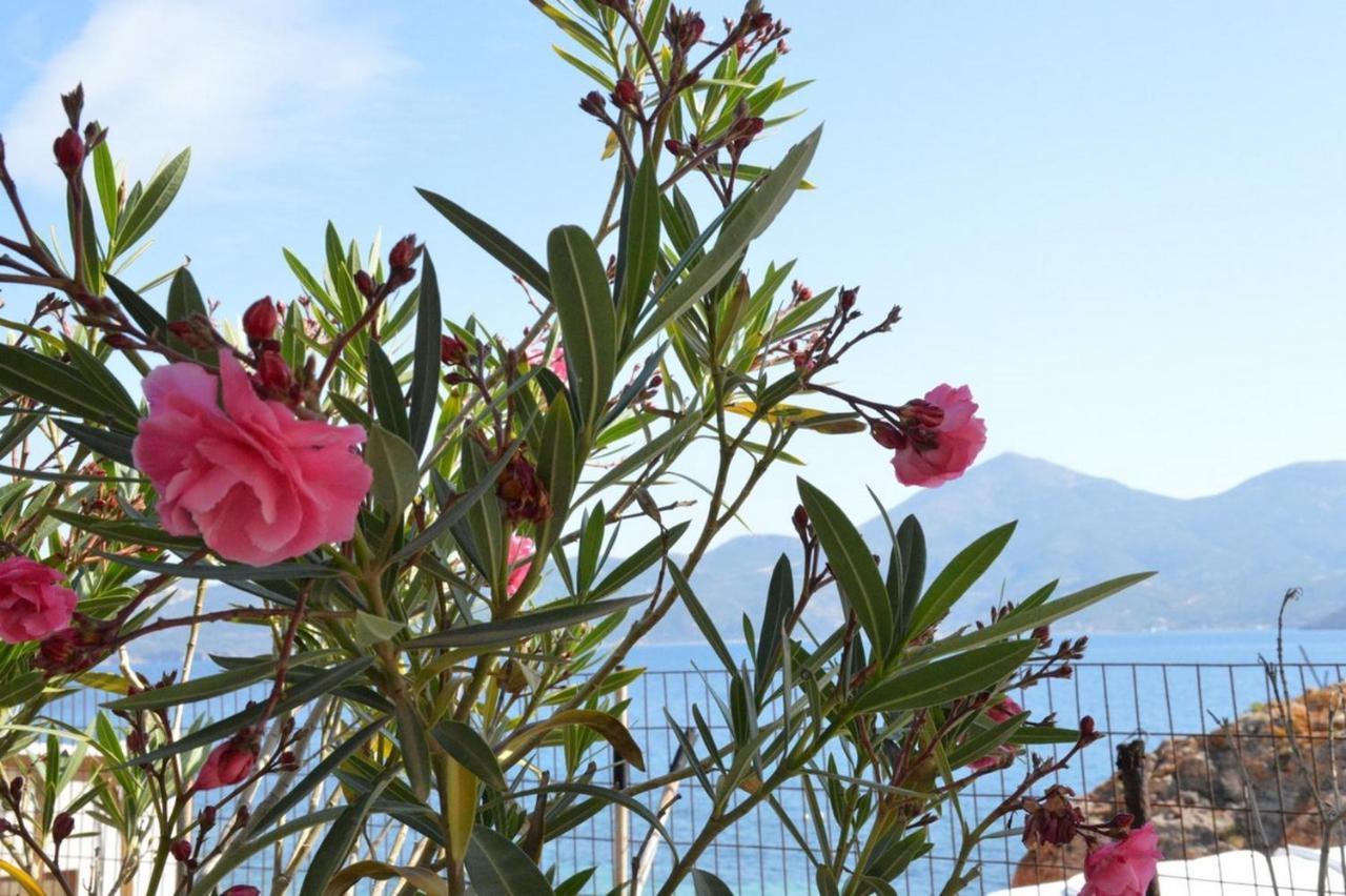 Plaka Thalassophile Eco House别墅 外观 照片